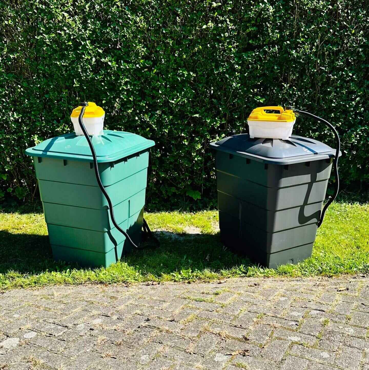 Hooistomer de Ton, groen en zwart