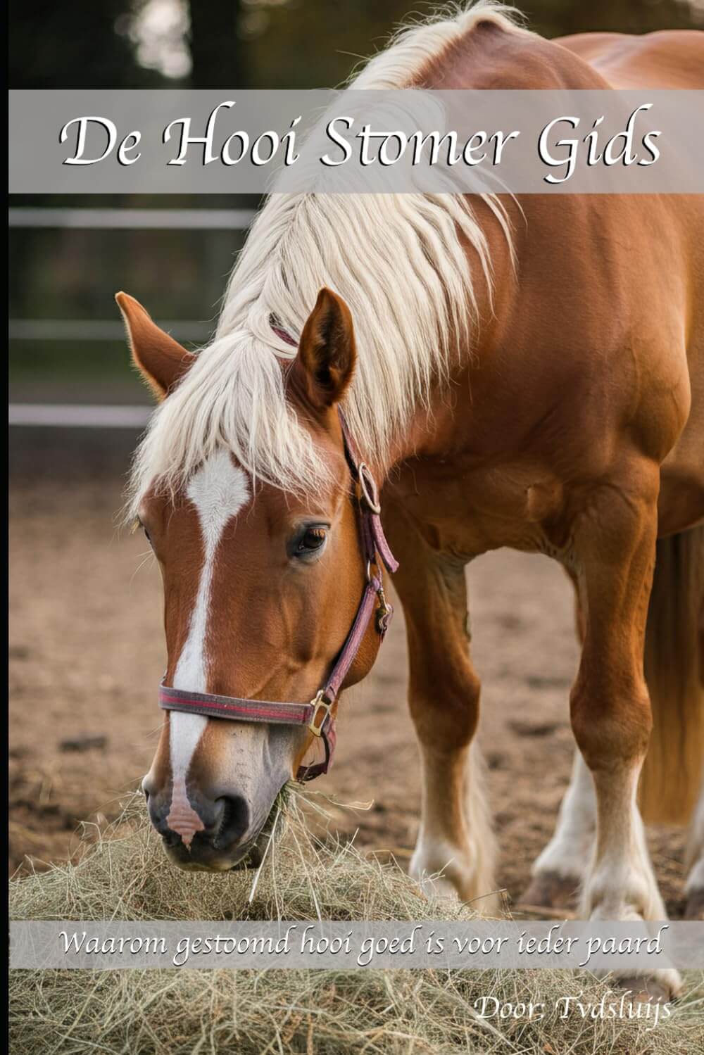 Hooistomer De Trog - Premium set