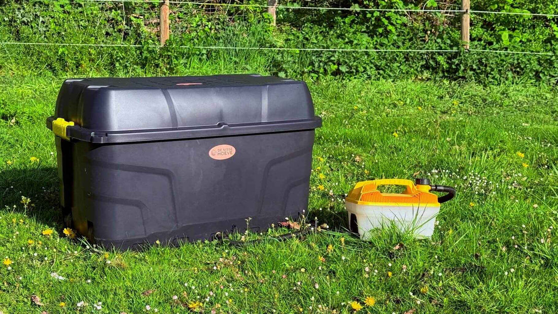 Zwarte hooistomer de krui in weiland