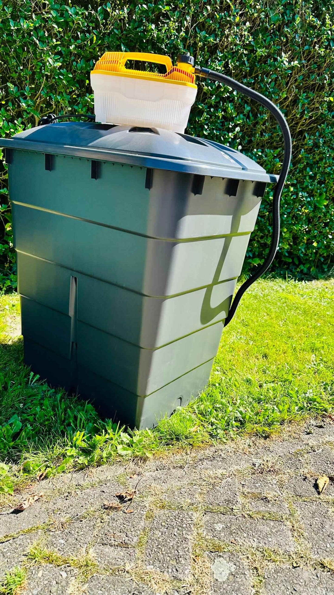 Zwarte Hooi stomer bij de Nisse Hoeve